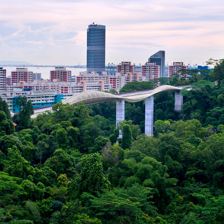 Expertise-Wks-720-720-HW